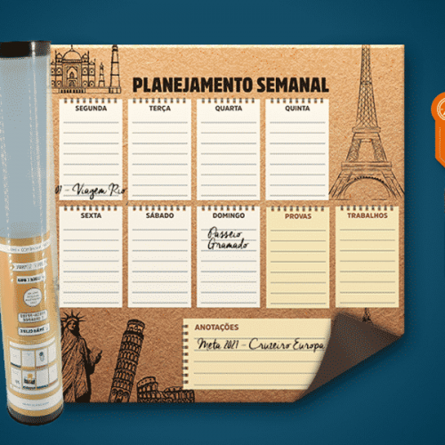 Planner Adesivado Raizler