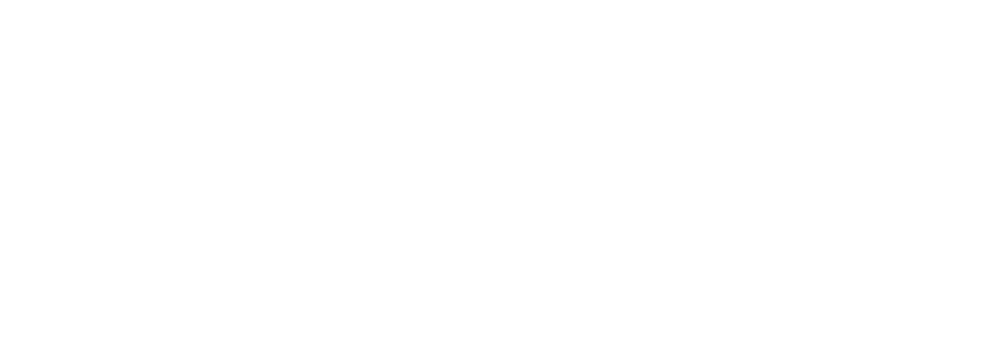 Logotipo Raizler Branco